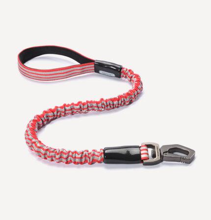 DOGNESS Anti-Shock Leash Roamer Red 2*75cm